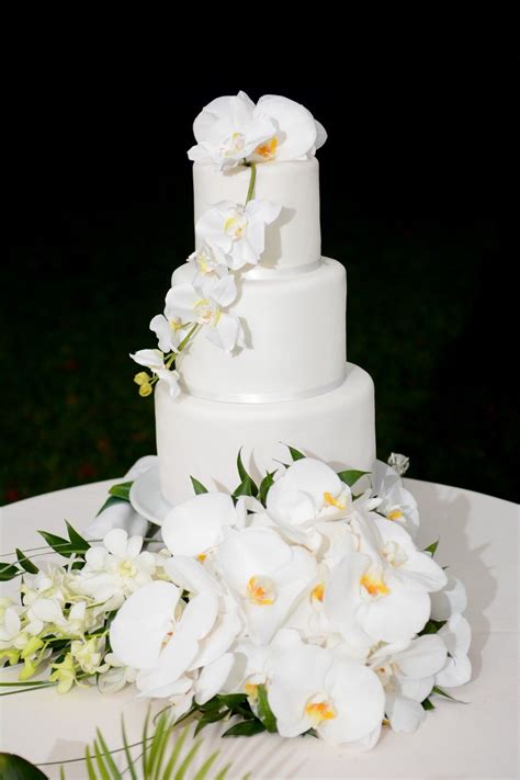 white orchid wedding cake orchid wedding cake tropical wedding cake white orchids wedding