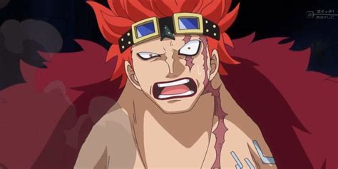 One Piece All Members Of The 11 Supernovas Ranked By Strength