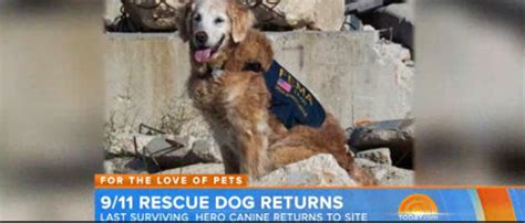 The Last Surviving 911 Rescue Dog Visits Ground Zero