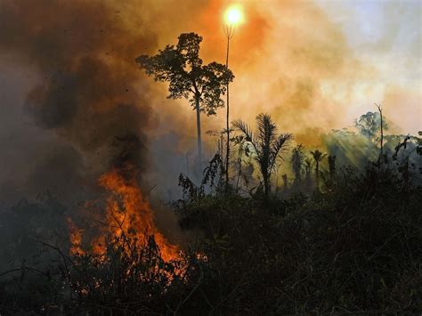 Los Incendios En El Amazonas Son En Realidad Los Peores De La Década
