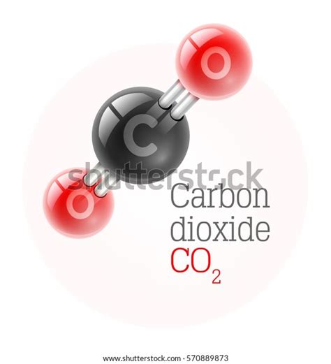 Chemical Model Carbon Dioxide Gas Molecule Stock Vector Royalty Free