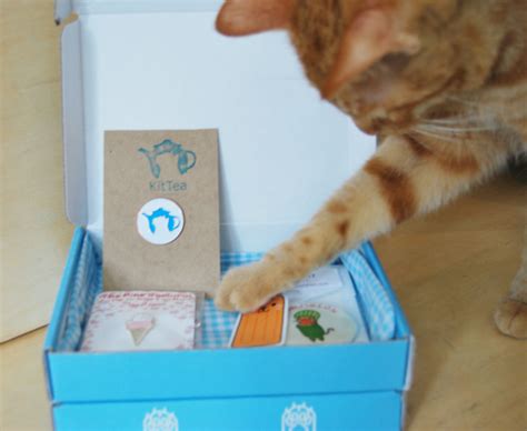 Cat Themed Monthly Subscription Box — KitTea Cat Lounge & Cafe