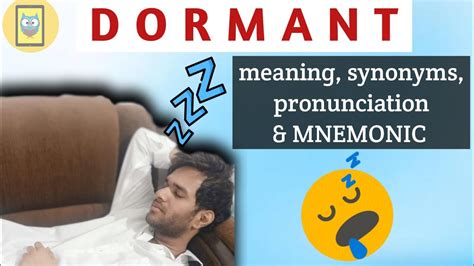 12 Dormant Meaning And Mnemonic Vocabulary Barrons 333 Cat Gre