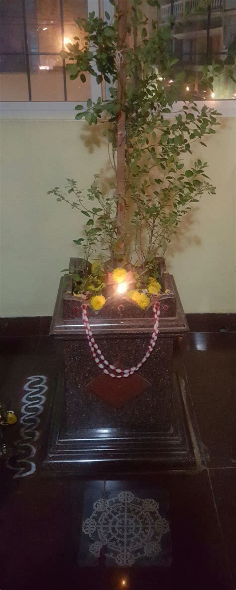 Pin By Priyanka On Hindu Tulasi Plant Festival Decorations Pooja