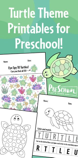 Turtle Preschool Printables Free Homeschool Deals