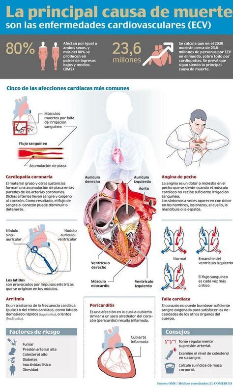 Pin De Lmb En Remedios Patologias Cardiovasculares Salud Y Salud