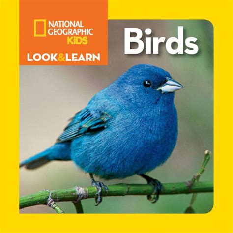 National Geographic Kids Look And Learn Birds By National Kids Board