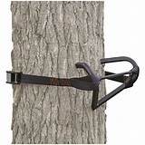 Tree Stand Climbing Steps Pictures