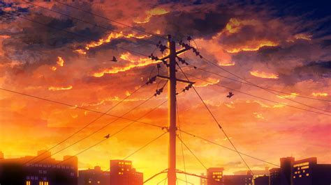 Wallpaper Scenery Clouds Birds Anime Sunset Resolution1920x1080