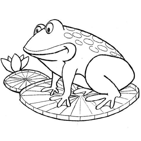 73 Dessins De Coloriage Grenouille à Imprimer Sur Page 5