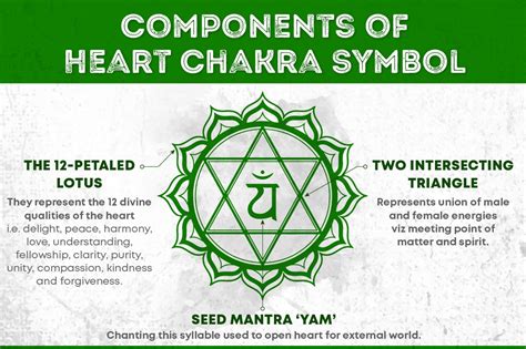 The Symbol For The Heart Chakra Is A Circle Of Twelve Lotus Petals