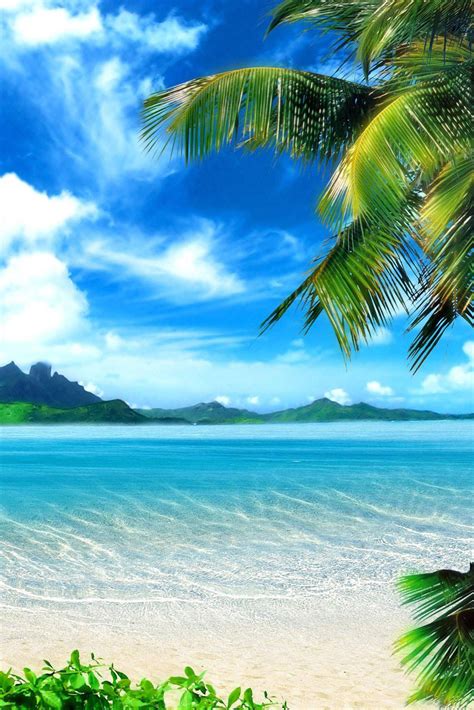 Cool Summer Beach Wallpapers Top Free Cool Summer Beach Backgrounds