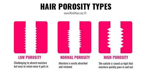 Low Porosity Hair All That You Ever Needed To Know In 2020 Hair