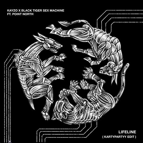 Kayzo X Black Tiger Sex Machine Ft Point North Lifeline Kartypartyy