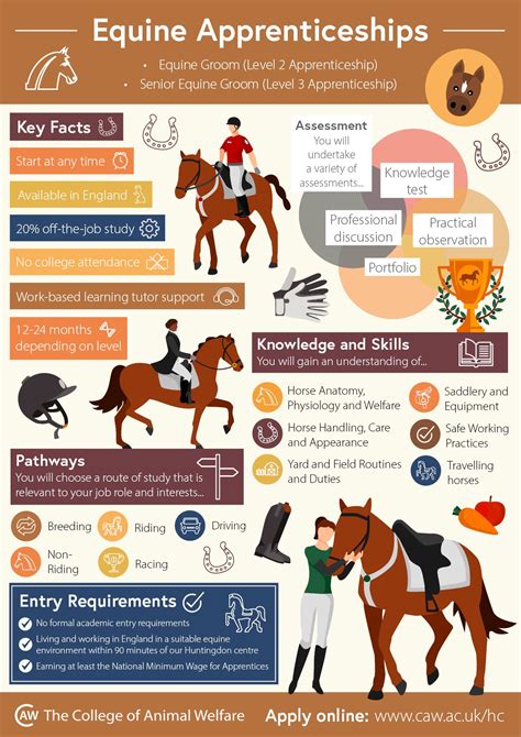 Horse Instructor Jobs Near Me at Elizabeth Guay blog