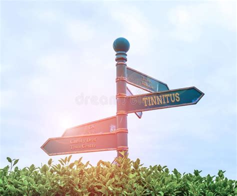 It is reasonable for you to earn a dollar for every album sold, there are. 522 Music Sensation Photos - Free & Royalty-Free Stock Photos from Dreamstime