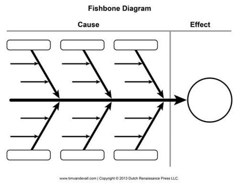 Fishbone Graphic Organizer Worksheetscity