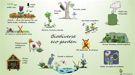 Creating A Biodiverse Eco Garden The