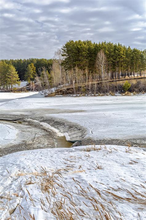 Spring Melting Of Ice On The River Siberia Russia Stock Photo Image