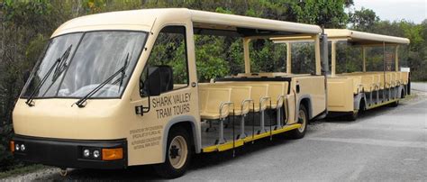 Welcome To Shark Valley Tram Tours National Park Tours Everglades