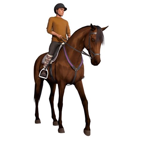 The Game — Equestrian The Horse Game