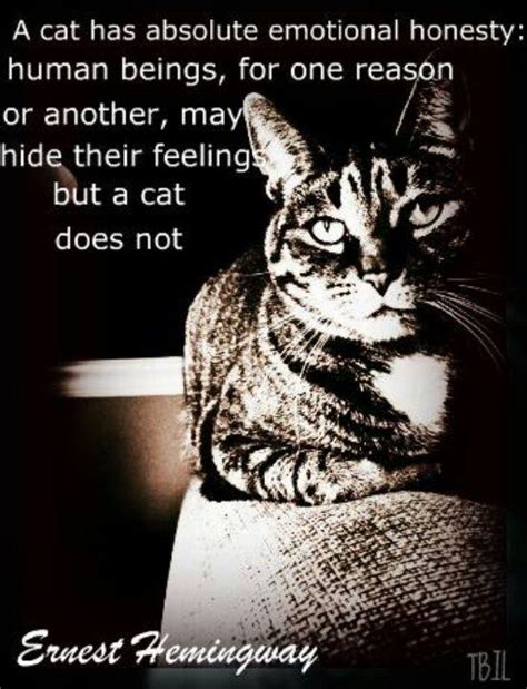 Ernest Hemingway Quote About Cats And Humans Cat Quotes Cats Hemingway Cats