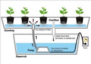 The most important parts of this system are your reservoir, flood table (or tray) and a. Ebb And Flow Hydroponics DIY — Design And Decor Ideas : How to DIY Hydroponics