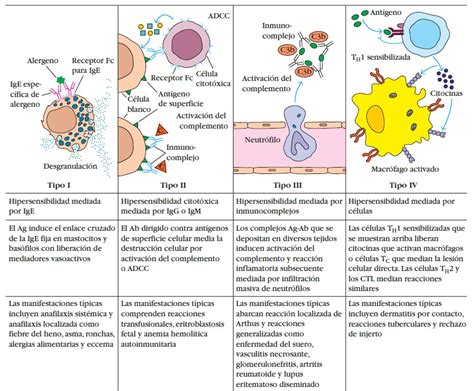Simple Science: How to Make a Volcano with Kids