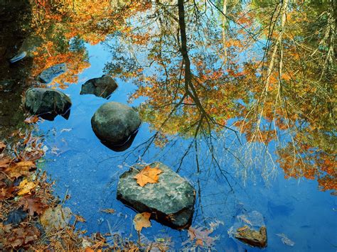 Autumn Reflection In Water Wallpapers And Images