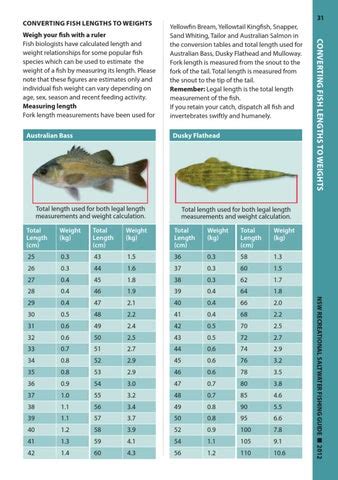 NSW Recreational Saltwater Fishing Guide 2012 By Andrew Coates Issuu