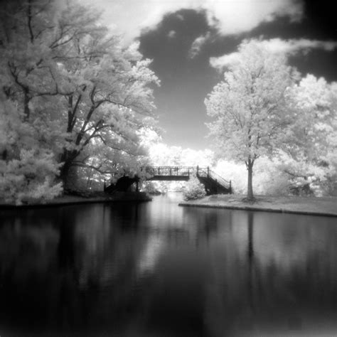 Have You Ever Wanted To Try Out Black And White Infrared Photography