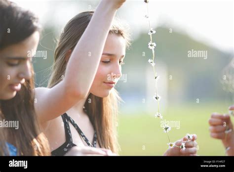 Teenage Girls Making Daisy Chains In Park Stock Photo Alamy