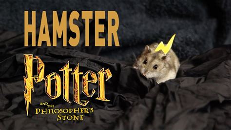 Click the lock icon and change block to allow in flash section to enjoy harry the hamster. Hamster Potter and the Philosophers Stone - YouTube
