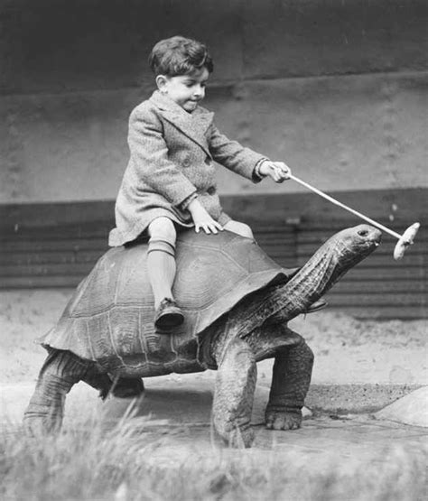15 Funny Old Pictures Of Cute Kids With Their Lovely Pets ~ Vintage