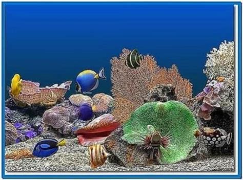 Marine Aquarium Screensaver Hd Download Free