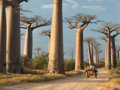 The 50 Most Beautiful Places In Africa Most Beautiful