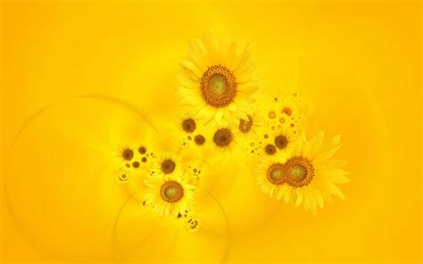 Yellow Sunflowers Wallpapers Wallpaper Cave