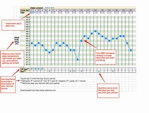 Fertility Planner Basal Body Temperature Cervical Mucus Chart The