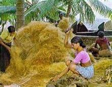 Coir (/ˈkɔɪər/), or coconut fibre, is a natural fibre extracted from the outer husk of coconut and used in products such as floor mats, doormats, brushes and mattresses. Coir - Wikipedia