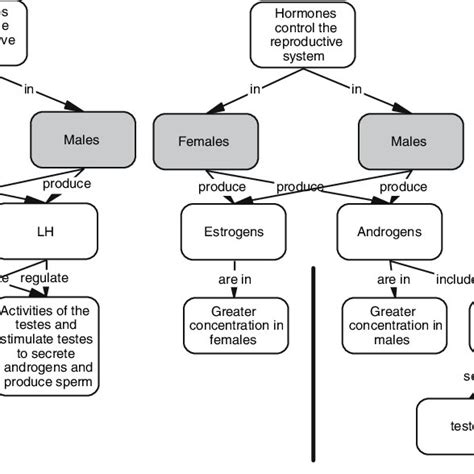 Concept Map Of The Conceptual Relationships Among Gonads Hormones And