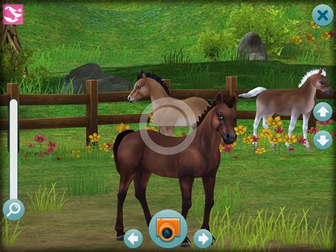 Horse Games Online Free Download Riding Academy 2 Horse Game Wii