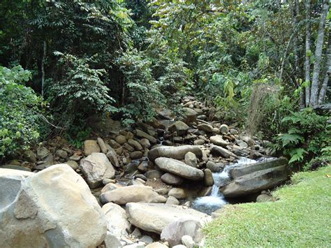 Best places to visit in kota kinabalu. Kota Kinabalu, Malaysia | Beautiful places, Kota kinabalu ...