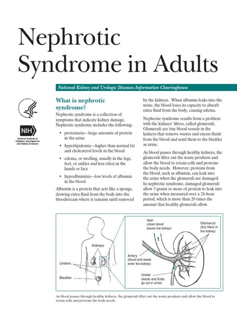 4 Nephrotic Syndrome Adults 508 Edema Hypertension