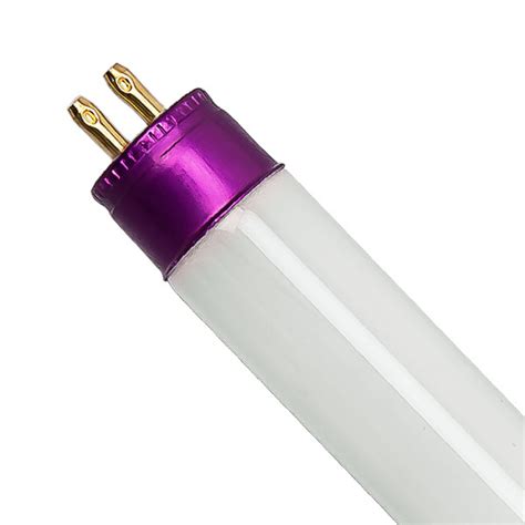 As i see it there really is no such thing as a grow light. EYE Hortilux HX80420 T5 - Fluorescent Grow Bulb - Blue