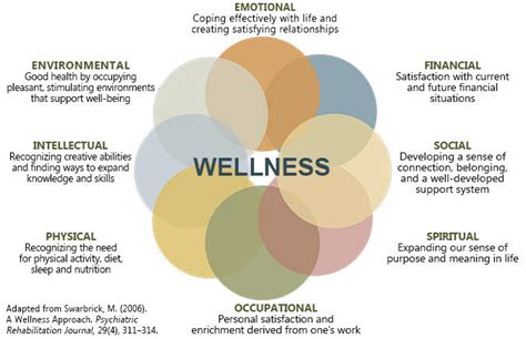 In this century, we are growing more aware of the negative effects illness and stress have on the human body. Wellness model - B-Healthy | Binghamton University