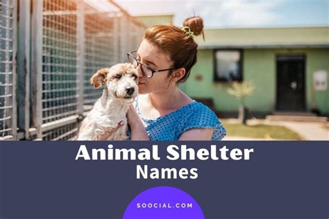 437 Animal Shelter Name Ideas to Make a Difference - Soocial