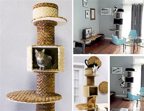 Introducing Urban Feline Modern Cat Furniture Hauspanther
