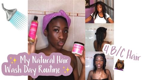 my natural hair wash day routine start to finish 4 b c hair youtube