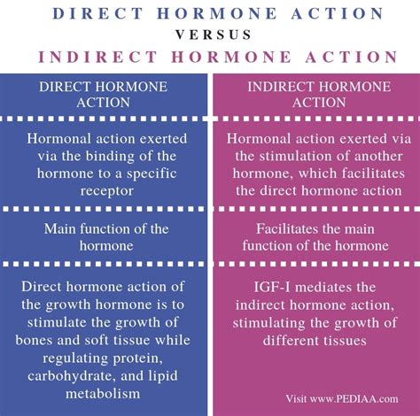 Apa kalian tau apa itu direct and indirect? What is the Difference Between Direct and Indirect Hormone ...