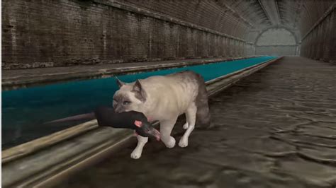 Игра Ultimate Cat Simulator полная версия на Андроид